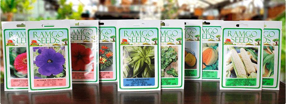 Sprouting Seeds Archives Ramgo
